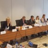 SEE 2020 Monitoring Committee discusses initial findings of the SEE 2020 Strategy Annual Report on Implementation