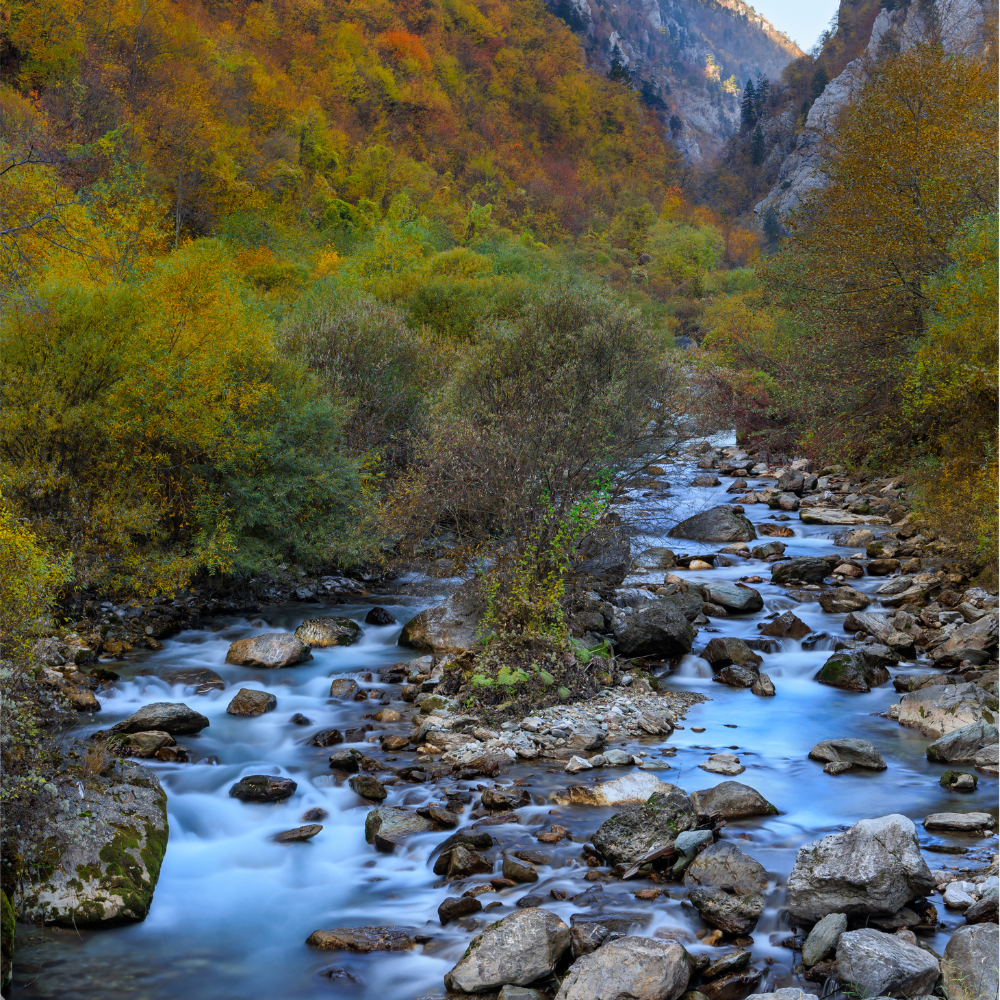 Rugova