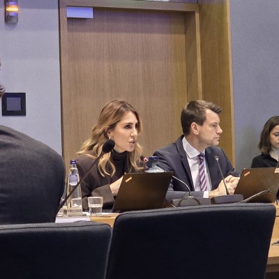 RCC Secretary General Majlinda Bregu addressing  the Working Party on the Western Balkans Region (COWEB) meeting on 12 December 2024 in Brussels (Photo: RCC/Edin sabljica)