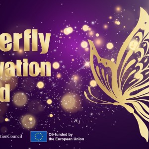 RCC launched a Regional Butterfly Innovation Award seeking innovative, scalable and market-based solutions from the Western Balkans (Design: RCC/Samir Dedic)