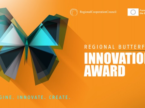 Regional Butterfly Innovation Award 2024 (Design: RCC/Samir Dedic)