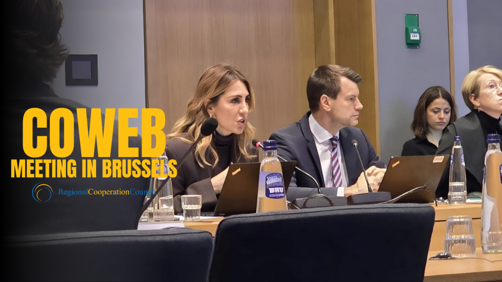 Working Party on the Western Balkans meeting in Brussels